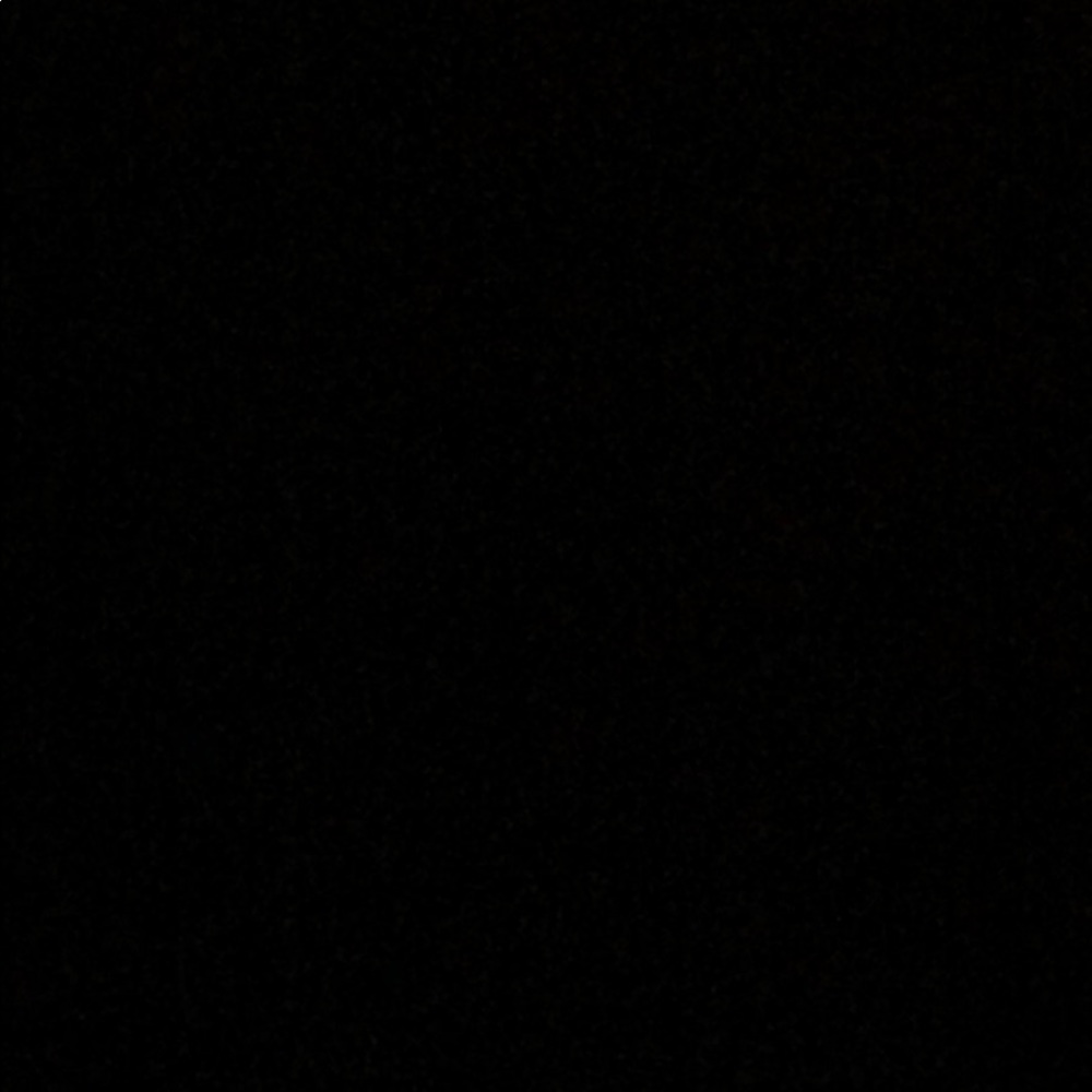 Meet your Posher, Savannah